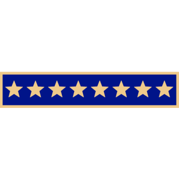 Smith & Warren C707G One Section Service Award Bar with 8 Stars (1-7/8" x 3/8")