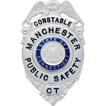 Smith & Warren E199 Eagle over Circle Panel Badge (3" x 1-3/4")