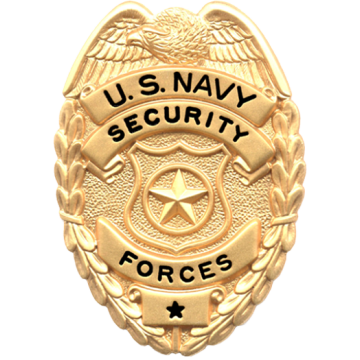 Blackinton FlexBadge FLX1522 Eagle Top Shield with Shield in Center (2-1/4" x 1-3/4")