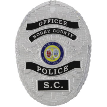 Blackinton FlexBadge FLX1675-R Oval Badge with Reverse Enamel Panels (3-1/2" x 2-1/2")