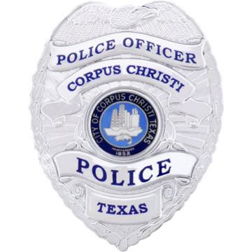 Blackinton FlexBadge FLX2064-A Eagle Top Badge (2-7/8" x 2-3/16")