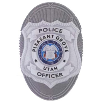 Blackinton FlexBadge FLX3808 Oval With Shield Badge (3-7/16" x 2-1/4")