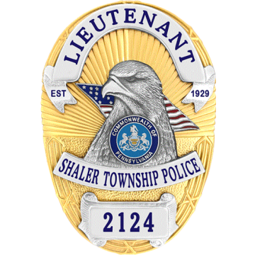 Blackinton FlexBadge FLX3882 Oval Badge with Eagle & Flag (3-1/2" x 2-1/2")