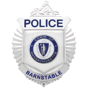 Blackinton FlexBadge FLX588-B Radiator Shield Badge (2-7/8" x 2-1/8")