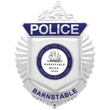 Blackinton FlexBadge FLX588 Radiator Shield Badge (2-7/8" x 2-1/4")