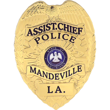 Blackinton FlexBadge FLX736 Eagle Top Badge (3-1/4" x 2-3/8")