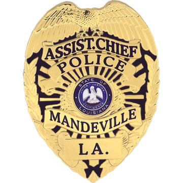 Blackinton FlexBadge FLX736-DE Eagle Top Badge (3-1/4" x 2-3/8")