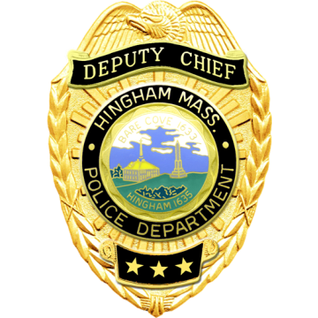 Blackinton FlexBadge FLX899-BR Shield with Reverse Enamel Panels (3-1/16" x 2-3/16")