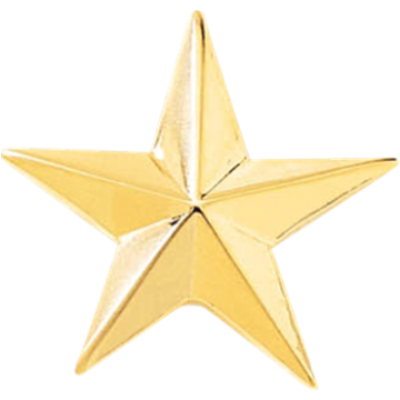 Blackinton J99 1 Star 1" Smooth - GOLD (Pair)