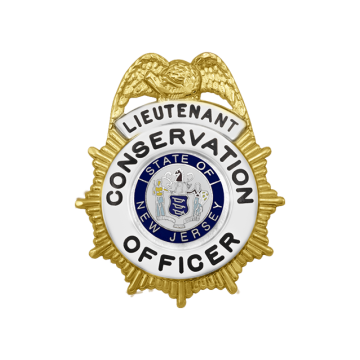 Smith & Warren M11B Eagle over Sunburst with Circle Panel (2-1/8" x 1-3/4")