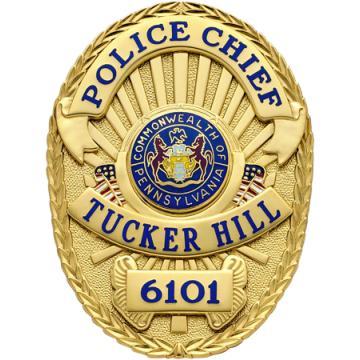 Smith & Warren M261US Oval Badge with Applied Panels & US Flags (3-3/8" x 2-1/2")