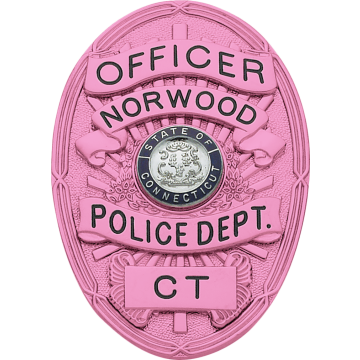 Smith & Warren M262_PI Breast Cancer Awareness Oval Badge (3-3/8" x 2-3/8")