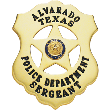 Smith & Warren M719 Old Fashioned Shield Badge w/ 5-Point Star (2-5/8" x 2-1/8")