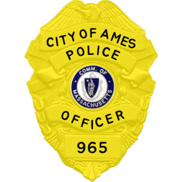 Blackinton PRT2167 Eagle Top Awareness Badge, Your Choice of Design