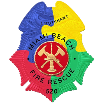 Blackinton PRT427 - Sunburst Awareness Badge, Your Choice of Design