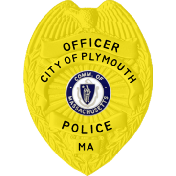 Blackinton PRT879-H Eagle Top Awareness Badge, Your Choice of Design