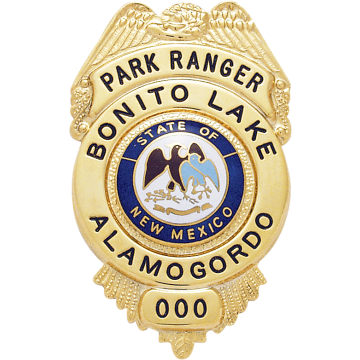 Smith & Warren S195 Eagle Top over Circle Panel Badge (2-5/8" x 1-5/8")