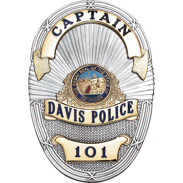 Smith & Warren S36B Classic Oval Badge with Sun Rays (3-1/2" x 2-3/8")