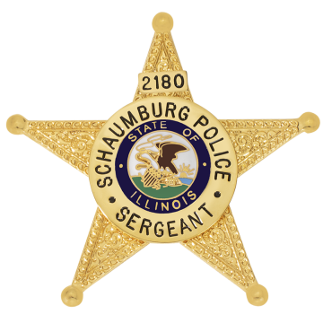 Smith & Warren S523A Five-Point Star Badge with Applied Circle Panel (2-3/4" x 2-7/8")