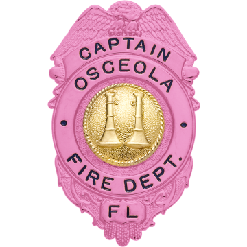 Smith & Warren S528_PI Breast Cancer Awareness Eagle Top over Circle Badge (3" x 1-7/8")