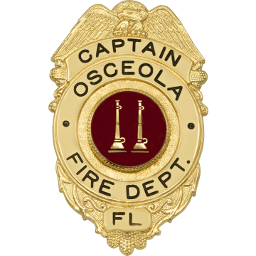 Smith & Warren S528 Eagle over Circle Badge (3" x 1-7/8")