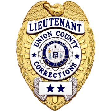 Smith & Warren S555T Eagle Top Badge with Applied Circle Panel (3-1/4" x 2-1/4")