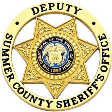 Smith & Warren S591 Seven-Point Star in Circle Badge (2-3/4")