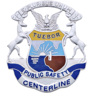 Smith & Warren S635A Michigan Coat of Arms Hat Badge (2-1/2" x 2-1/4")