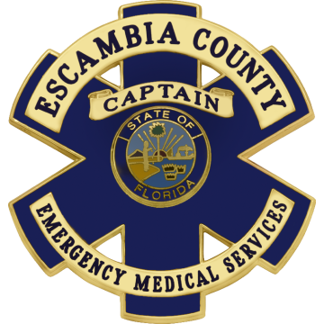 Smith & Warren S659E Star of Life EMS Badge with Enameled Background (2-1/2" x 2-3/8")