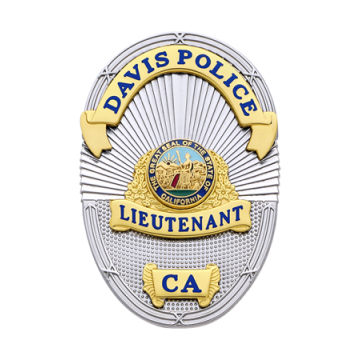 Smith & Warren S665 Oval Badge w/ Applied Panels & Sun Rays (2-3/4" x 2")