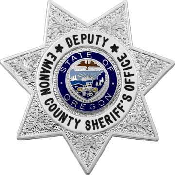 Smith & Warren S675 Seven-Point Star Badge with Circle Panel (2-5/8")