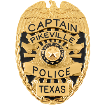 Smith & Warren S701E Large Eagle Top Oval Badge w/ Enamel Background (3-3/8" x 2-3/8")