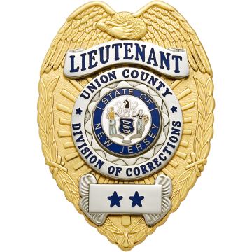 Smith & Warren S91T Eagle Top Badge with Applied Circle Panel (3-3/8" x 2-3/8")