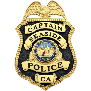 Smith & Warren S94TAC Shield Badge w/ Eagle & Enameled Background (3" x 2")