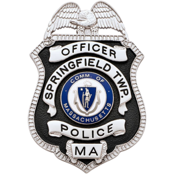 Smith & Warren S96TAC Shield Badge w/ Eagle & Enamel Background (3" x 2")