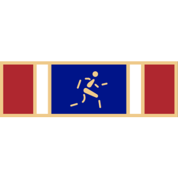 Smith & Warren SAB3_103 Five Section Fitness Award Service Bar (1-3/8" x 3/8")