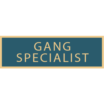 Smith & Warren SAB3_125 Gang Specialist Service Award Bar (1-3/8" x 3/8")
