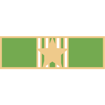 Smith & Warren SAB3_2 Nine Section Service Award Bar with Star (1-3/8" x 3/8")