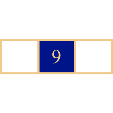 Smith & Warren SAB3_262 Three Section Years of Service Award Bar w/ "9" (1-3/8" x 3/8")