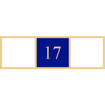 Smith & Warren SAB3_268 Three Section Years of Service Award Bar w/ "17" (1-3/8" x 3/8")