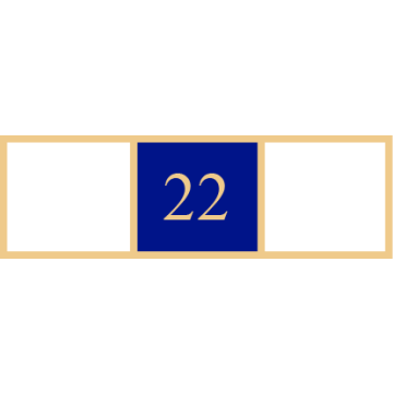 Smith & Warren SAB3_272 Three Section Years of Service Award Bar w/ "22" (1-3/8" x 3/8")