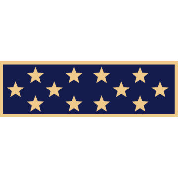 Smith & Warren SAB3_282 One Section Service Award Bar w/ 12 Stars (1-3/8" x 3/8")