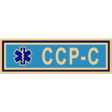 Smith & Warren SAB3_286 Critical Care Paramedic Certification Service Award Bar (1-3/8" x 3/8")