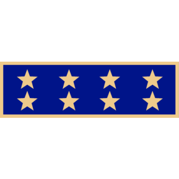 Smith & Warren SAB3_296 One Section Years of Service Award Bar w/ 8 Stars (1-3/8" x 3/8")