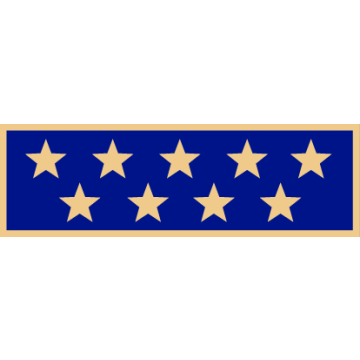 Smith & Warren SAB3_297 One Section Years of Service Award Bar w/ 9 Stars (1-3/8" x 3/8")