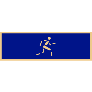 Smith & Warren SAB3_300 Fitness Award Bar (1-3/8" x 3/8")