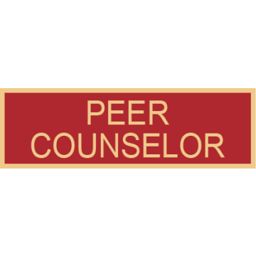 Smith & Warren SAB3_331 Peer Counselor Service Award Bar (1-3/8" x 3/8")