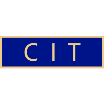 Smith & Warren SAB3_377 CIT Service Award Bar (1-3/8" x 3/8")