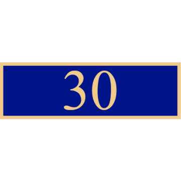 Smith & Warren SAB3_427 Thirty Years of Service Award Bar (1-3/8" x 3/8")