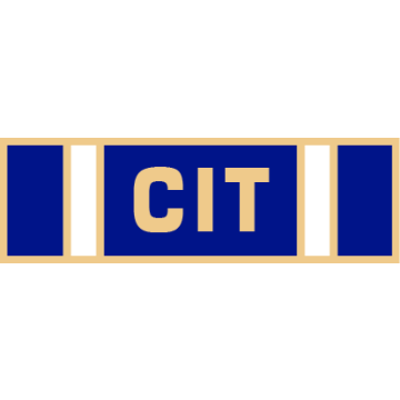 Smith & Warren SAB3_497 Five Section CIT Service Award Bar (1-3/8" x 3/8")